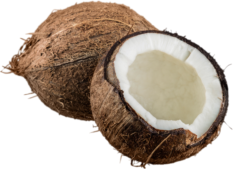Opened Coconut